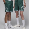 Шорти чоловічі Air Jordan Dri-Fit Sport Diamond Green DX1487-366