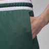 Шорти чоловічі Air Jordan Dri-Fit Sport Diamond Green DX1487-366