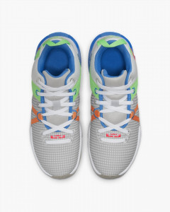 Кросівки Nike LeBron Witness 7 Grey Fog Multi-Color DM1123-003