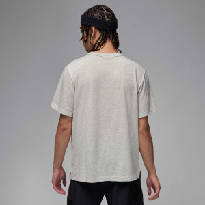 Футболка чоловіча Air Jordan Dri-Fit Sprt Ss Top Grey FN5829-050