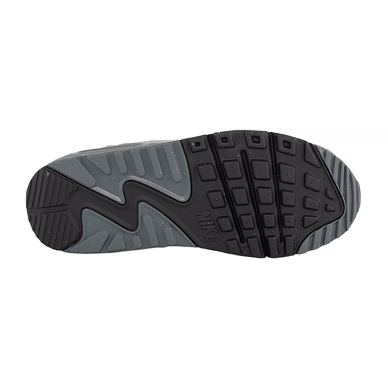 Кросівки Nike AIR MAX 90 LTR (GS) CD6864-015