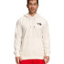 Худі чоловіче The North Face Box Nse Hoodie NF0A7UNSQ4C