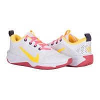 Кросівки Nike OMNI MULTI-COURT (GS) DM9027-102