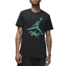 Футболка JORDAN M ESS JUMPMAN SS CREW DQ7376-010