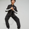 Спортивний костюм чоловічий Puma Baseball Tricot Suit (67742801) 67742801