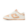 Кросівки Nike Dunk Low Next Nature DD1873-200