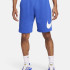 Шорти чоловічі Nike Sportswear Club Graphic Shorts Blue BV2721-480