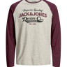 Футболка з довгими рукавами JJERAGLAN LOGO TEE L/S NOOS 12172365 Port Royale Jack&Jones M Бордовий 12172365PORTROYALE
