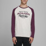 Футболка з довгими рукавами JJERAGLAN LOGO TEE L/S NOOS 12172365 Port Royale Jack&Jones M Бордовий 12172365PORTROYALE