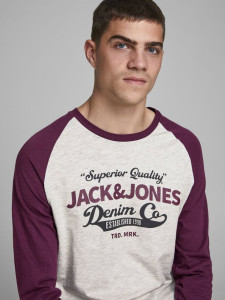 Футболка з довгими рукавами JJERAGLAN LOGO TEE L/S NOOS 12172365 Port Royale Jack&Jones M Бордовий 12172365PORTROYALE
