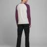 Футболка з довгими рукавами JJERAGLAN LOGO TEE L/S NOOS 12172365 Port Royale Jack&Jones M Бордовий 12172365PORTROYALE
