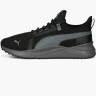 Кросівки 391132-02 Puma 391132-02