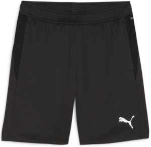 Шорти Puma teamGOAL Training 658643-03, Цвет Чёрный, Размер (Европа) - L 658643-03
