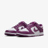 Кросівки Nike Dunk Low Retro DV0833-107