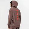 Худі Air Jordan Paris Saint-Germain Pullover Hoodie Brown Dm3096-291 S DM3096-291