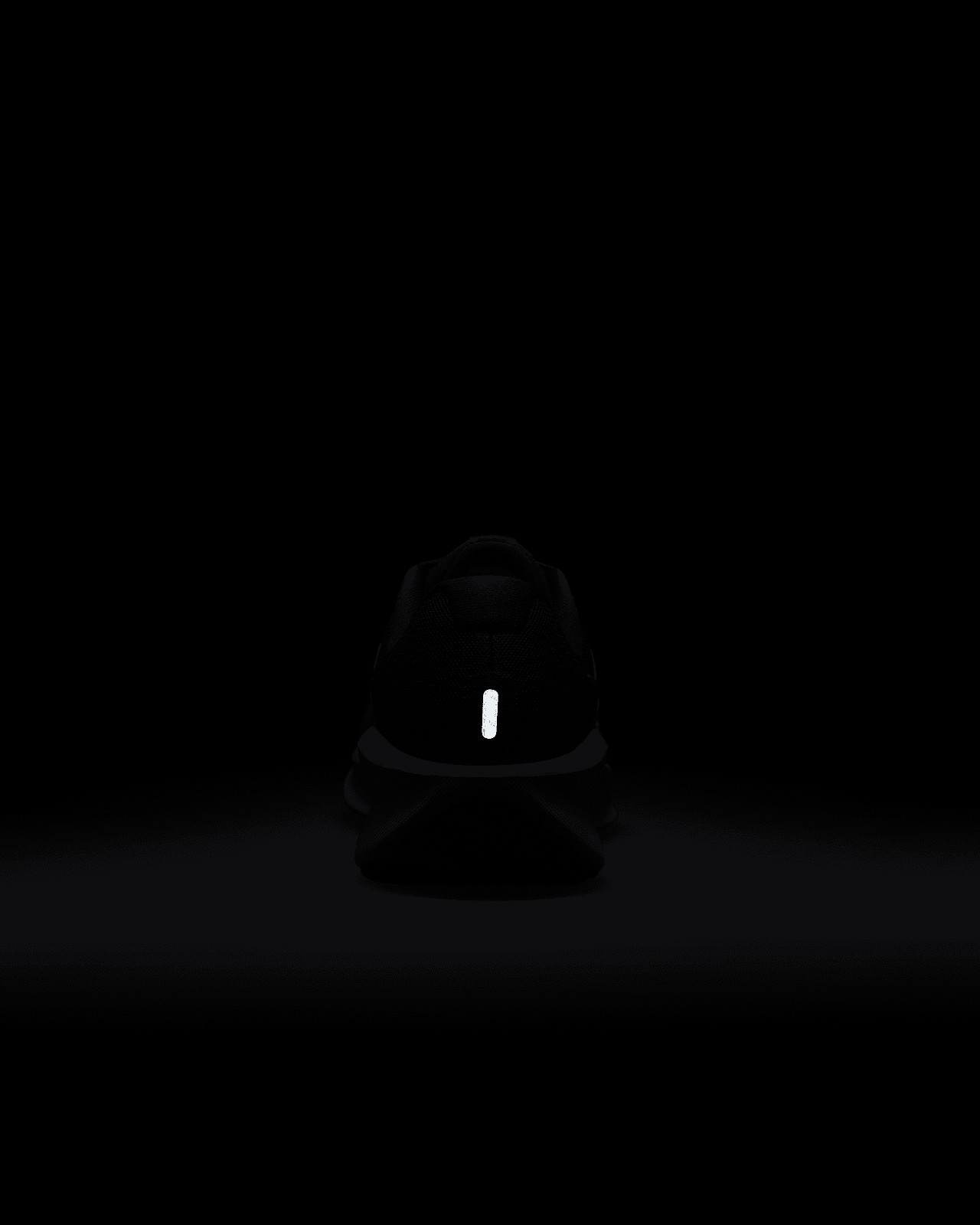 Кросівки Nike Downshifter 13 Road Running Shoes FD6454-004