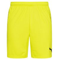 Шорти воротарські Puma 700395-05