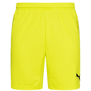 Шорти воротарські Puma 700395-05