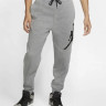 Штани JORDAN NFS JUMPMAN LOGO FLC PANT DA6803-091