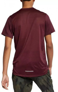 Футболка Nike Dri-Fit (бордова) AJ7565-681
