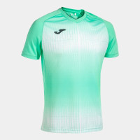 Футболка Joma TIGER V зелено-біла 103235.472 103235.472