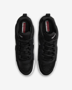 Кросівки Nike AIR MAX ISHOD FB2393-004