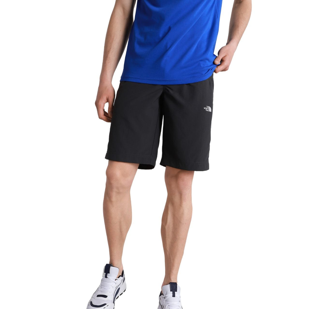 Шорти The North Face Tanken Short Regu NF0A2S850C51