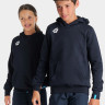 Худі Arena TEAM HOODED SWEAT PANEL 004919-700