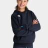 Худі Arena TEAM HOODED SWEAT PANEL 004919-700