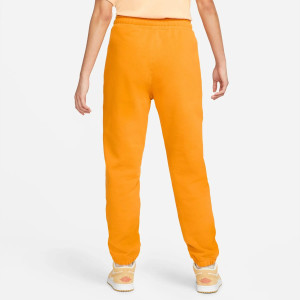 Штани Jordan Essentials Fleece Pants DD7001-740