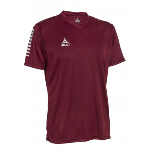 Футболка Select Pisa player shirt s/s 624130-011
