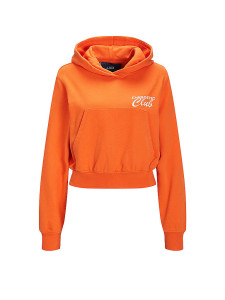Худі ENERGETIC CLUB JXBAILEY LS RELAXED VINT HOODIE SN 12200370-ORANGE