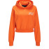 Худі ENERGETIC CLUB JXBAILEY LS RELAXED VINT HOODIE SN 12200370-ORANGE