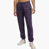 Брюки жіночі Jordan Brkln Flc Violet (FV7077-573) FV7077-573
