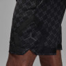 Шорти чоловічі Jordan Sport Dri-Fit Printed Diamond (HQ8663-010) HQ8663-010