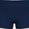 Плавки для хлопчиків Arena LIT LOGO SWIM SHORT синій 140 см (010692-750) 010692-750