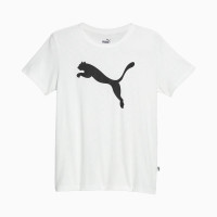 Футболка Puma Essentials Big Cat Logo Tee 678900 02