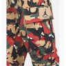 Штани JORDAN CARGO CAMO DC7450-246