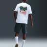Футболка Nike Tee SB Park White HJ0893-100