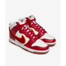 Кросівки Nike Dunk High Retro University DR8805-101