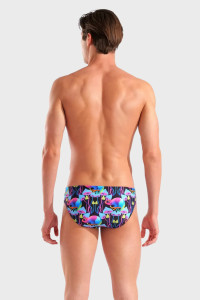 Плавки Arena MULTI CHAMELEONS SWIM BRIEFS 010212-550