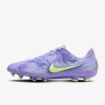 Бутси Nike LEGEND 10 ACADEMY FG/MG NU1 HF1590-500