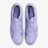Бутси Nike LEGEND 10 ACADEMY FG/MG NU1 HF1590-500