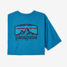 Футболка Patagonia tee 38501 APBL