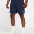 Шорти Nike Club FQ4359-451
