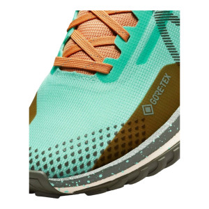 Кросівки Nike W REACT PEGASUS TRAIL 4 GTX DJ7929-301