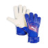 Рукавиці воротарські Puma Ultra Play RC - синій 041952-01