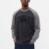 Футболка з довгим рукавом LONGSLEEVE RAGLAN TEE 765764-04 GAP XL Темно-сірий 765764-04