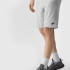 Шорти Shorts Cas M284 4FWSS24TSHOM284-27M 4F L Сірий 4FWSS24TSHOM284-27M