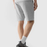 Шорти Shorts Cas M284 4FWSS24TSHOM284-27M 4F L Сірий 4FWSS24TSHOM284-27M